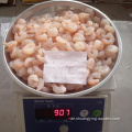 Chinesische Meeresfrüchte gefrorene rote IQF -Garnelen in Schüttung